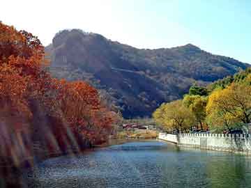 管家婆免费正版资起大全，泛目录权重